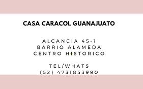 Casa Caracol Guanajuato